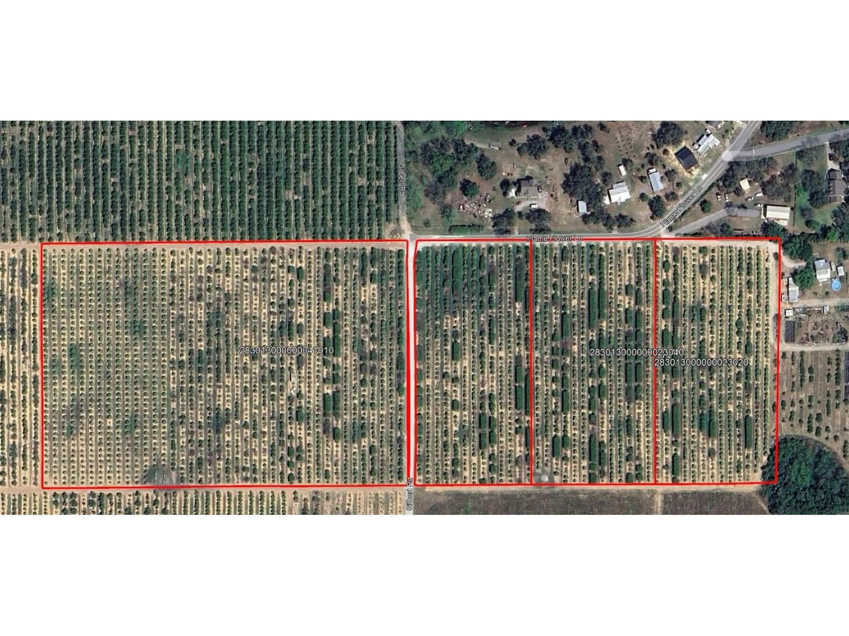 Goldenbough Road Lake Wales FL 33898 P4935486 image1