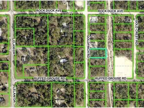 Goldfinch Road Brooksville FL 34614 W7875532 image1