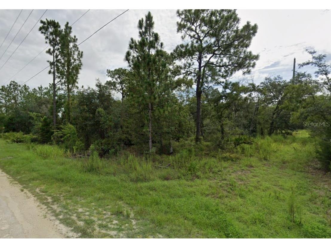 Goldfinch Road Weeki Wachee FL 34614 O6358070 image1