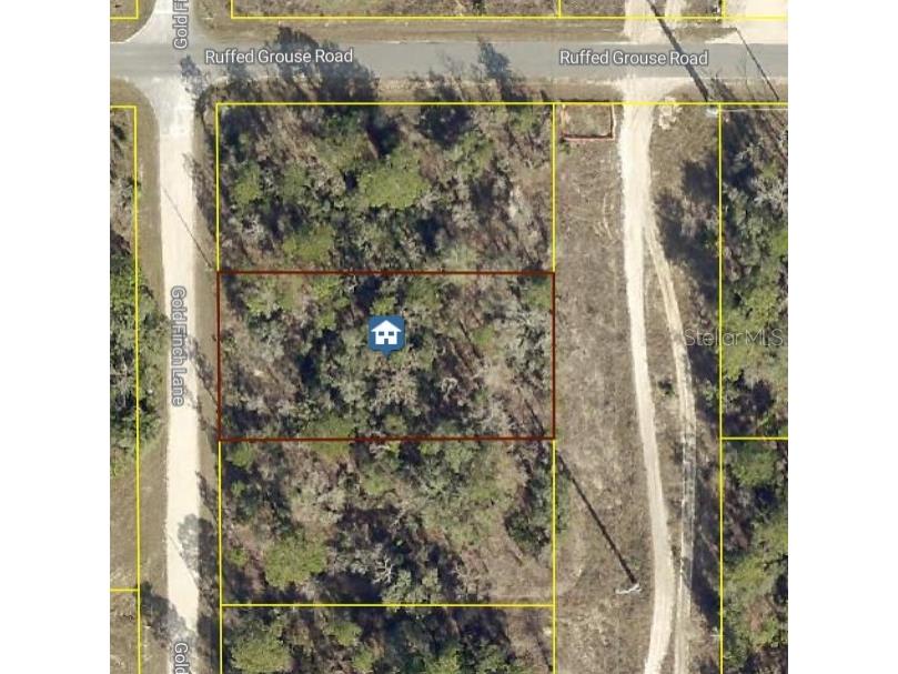 Goldfinch Road Weeki Wachee FL 34614 O6358070 image2