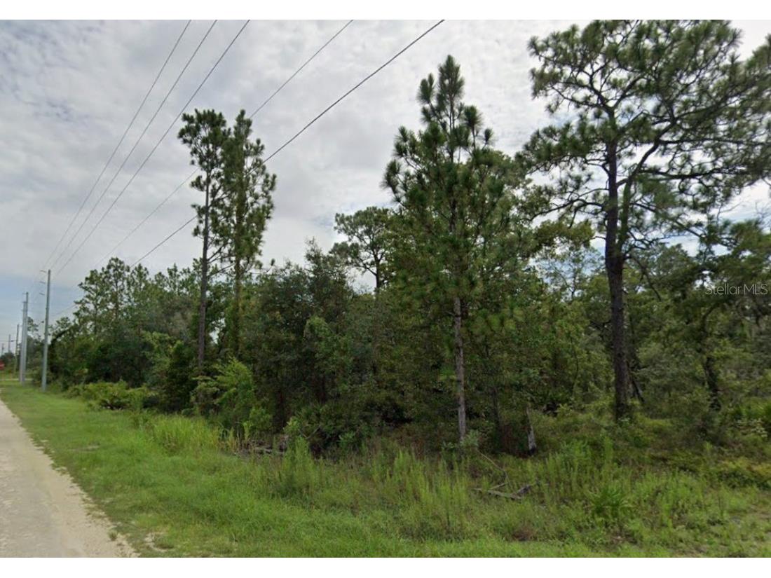 Goldfinch Road Weeki Wachee FL 34614 O6358070 image6