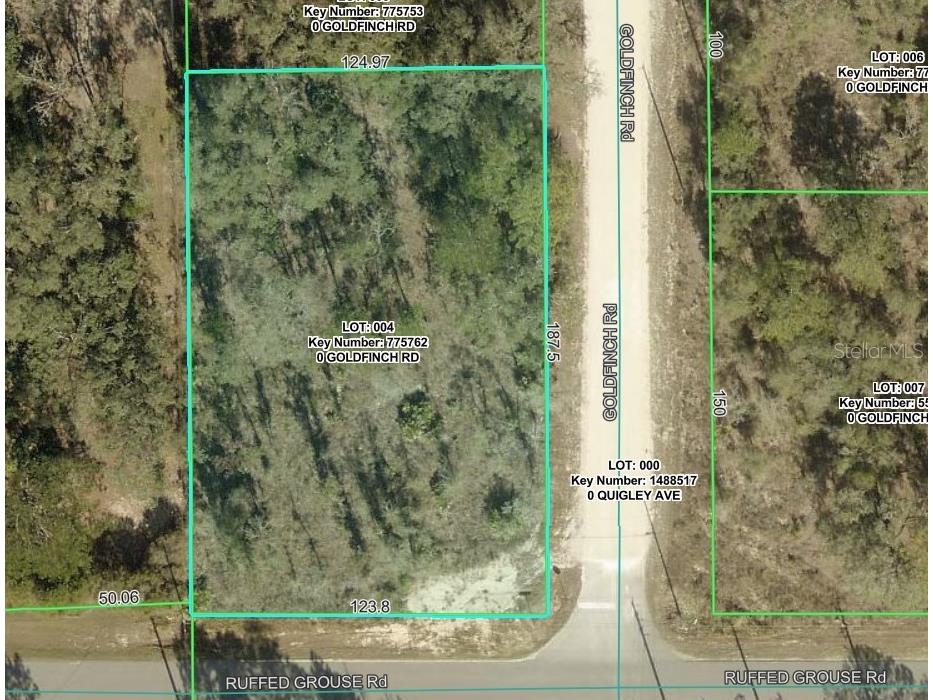 Goldfinch Road Weeki Wachee FL 34614 W7885444 image1