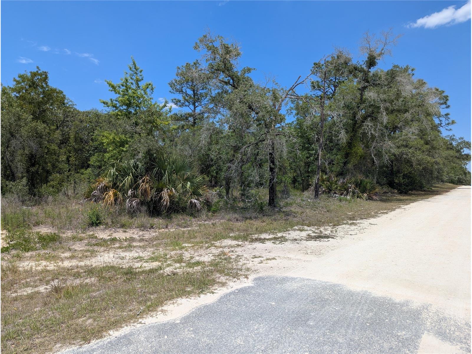 Goldfinch Road Weeki Wachee FL 34614 W7885444 image10