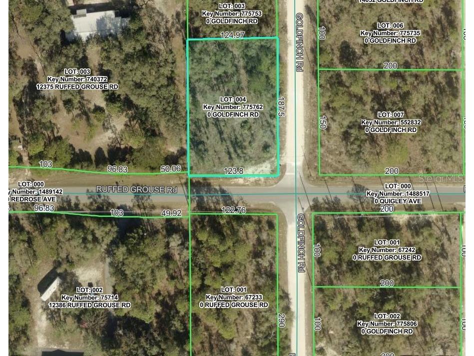 Goldfinch Road Weeki Wachee FL 34614 W7885444 image2