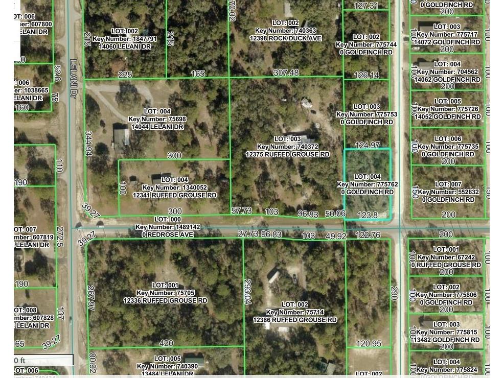 Goldfinch Road Weeki Wachee FL 34614 W7885444 image3