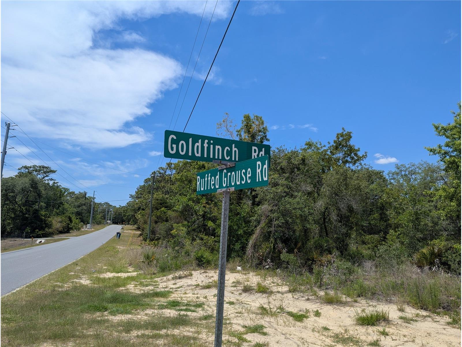 Goldfinch Road Weeki Wachee FL 34614 W7885444 image4