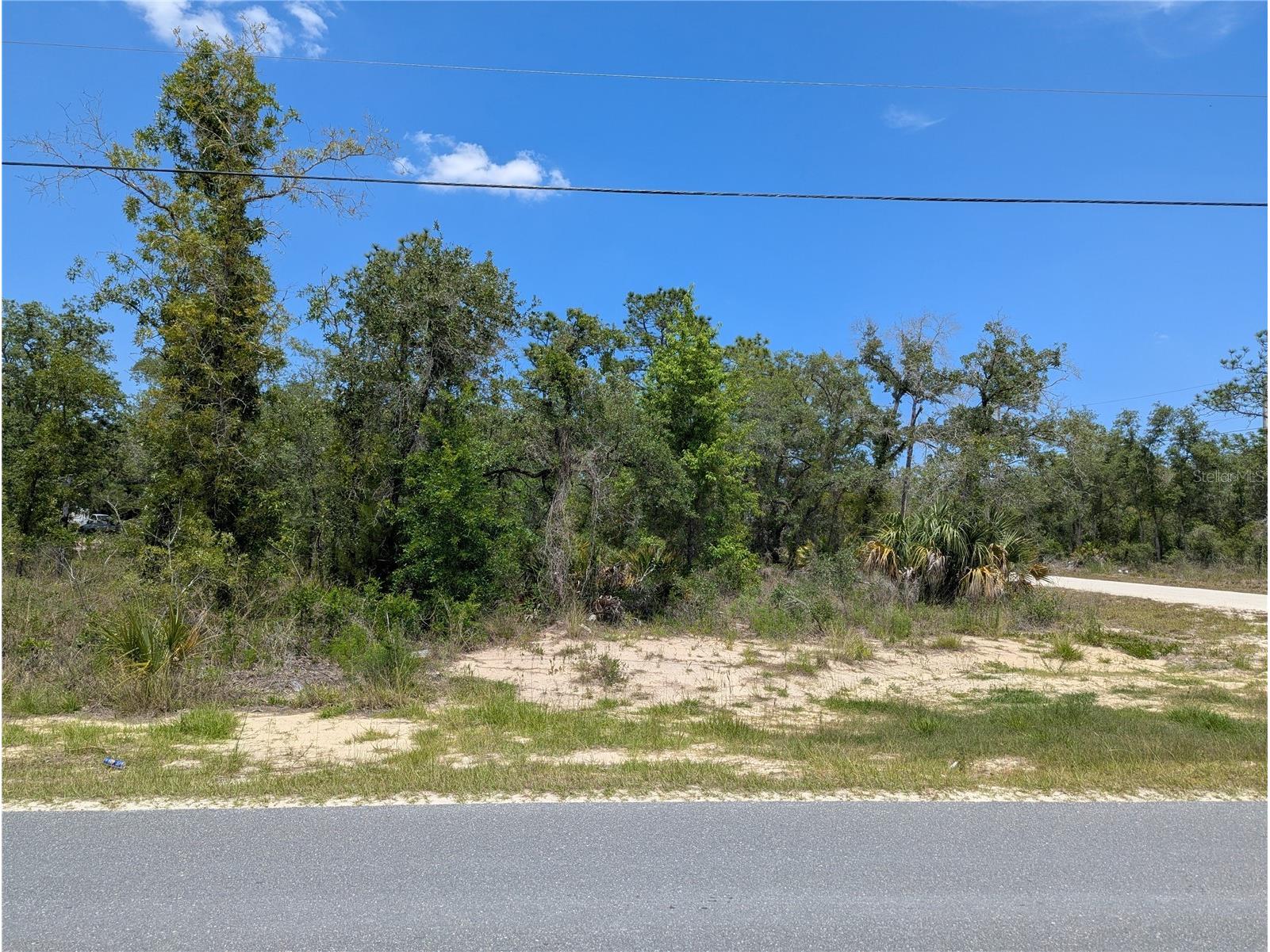 Goldfinch Road Weeki Wachee FL 34614 W7885444 image5