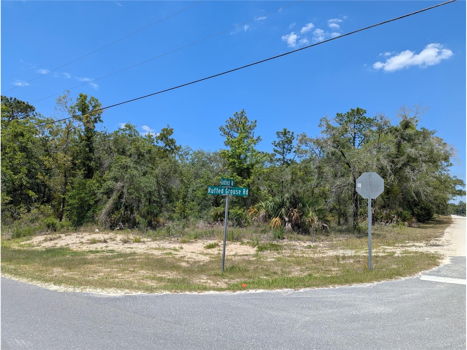 Goldfinch Road Weeki Wachee FL 34614 W7885444 image6