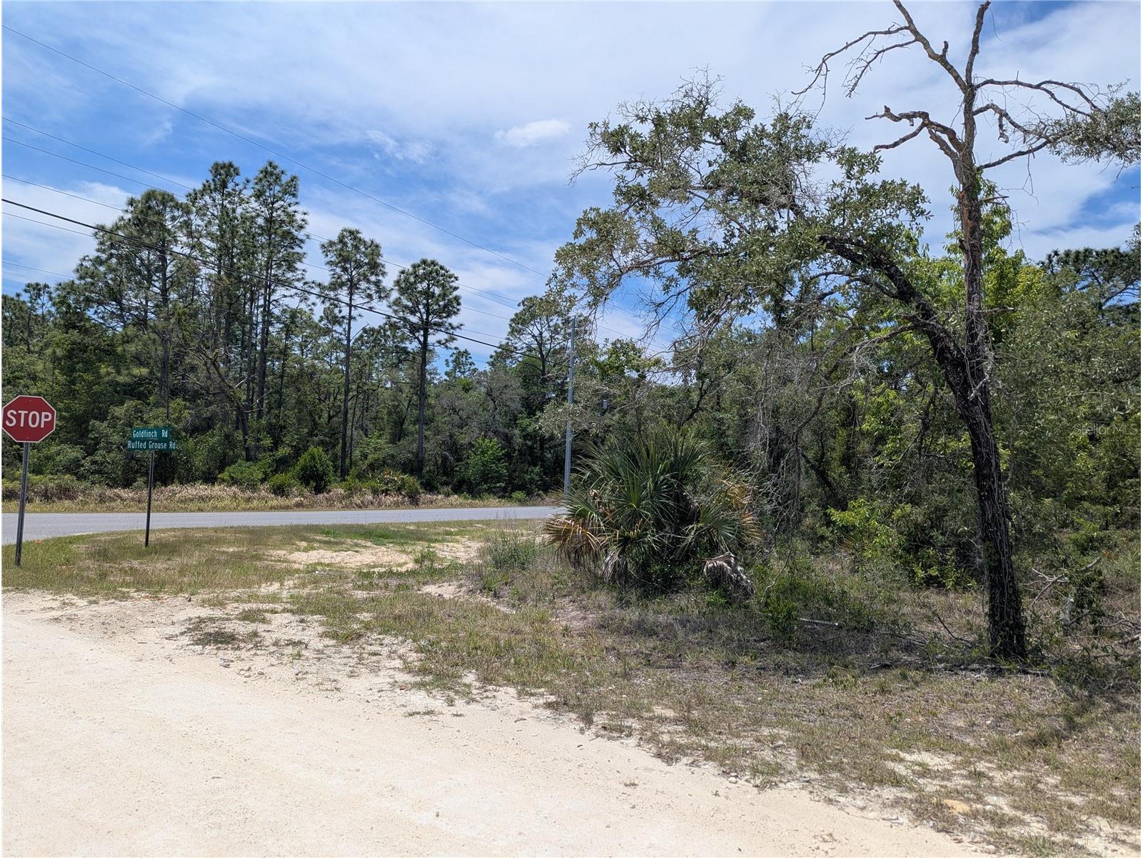 Goldfinch Road Weeki Wachee FL 34614 W7885444 image7