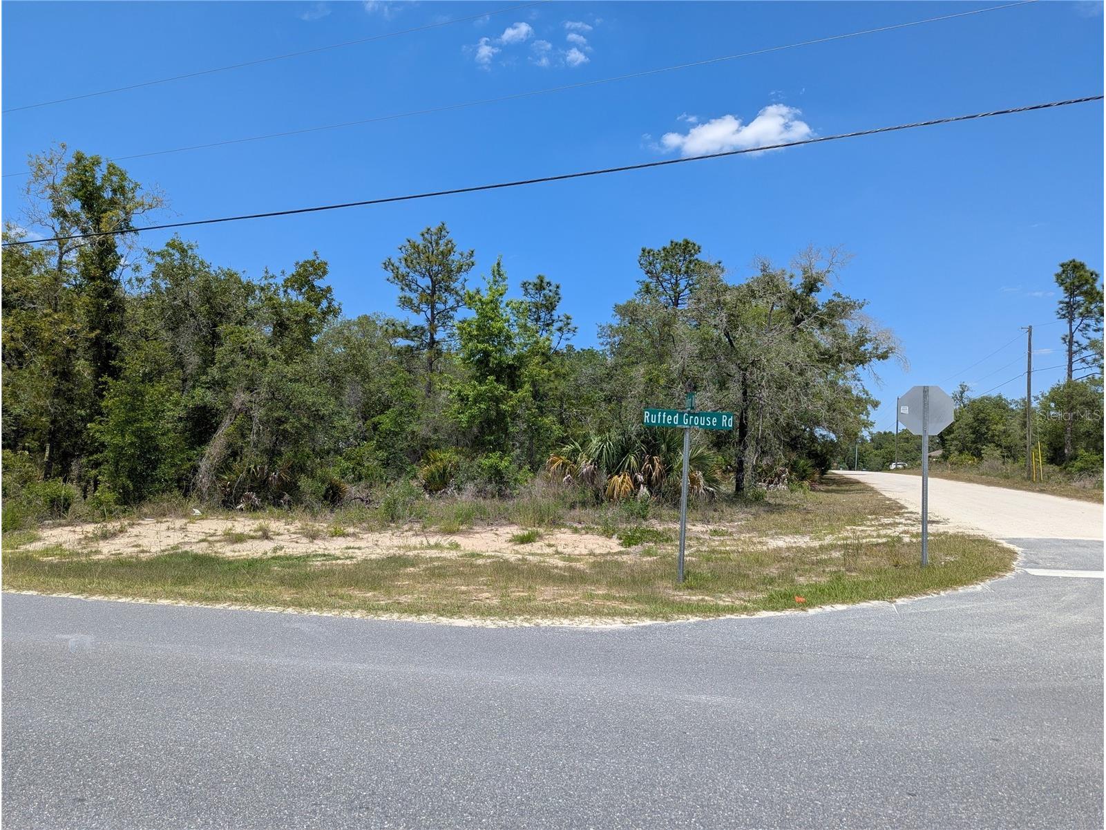 Goldfinch Road Weeki Wachee FL 34614 W7885444 image8
