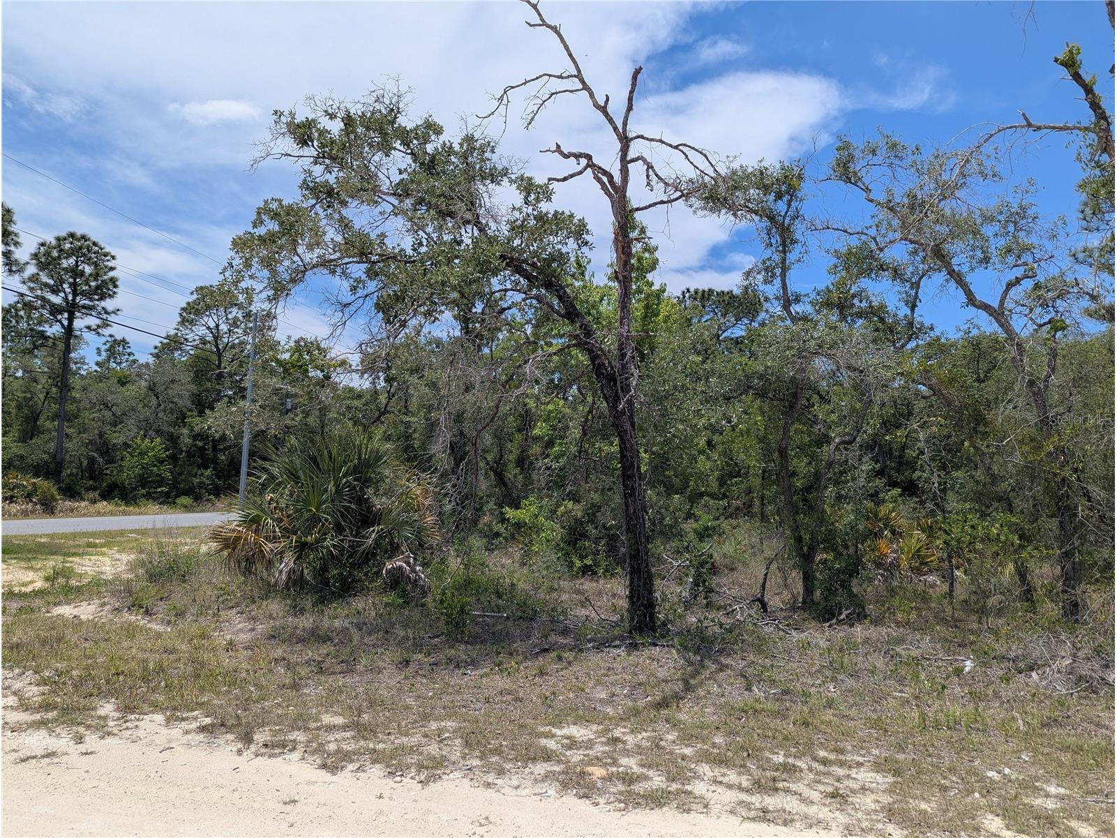 Goldfinch Road Weeki Wachee FL 34614 W7885444 image9