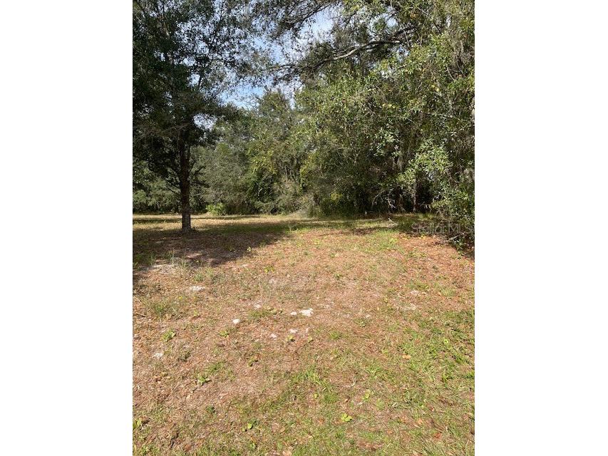 Golf Course Loop Wesley Chapel FL 33544 T3490720 image1