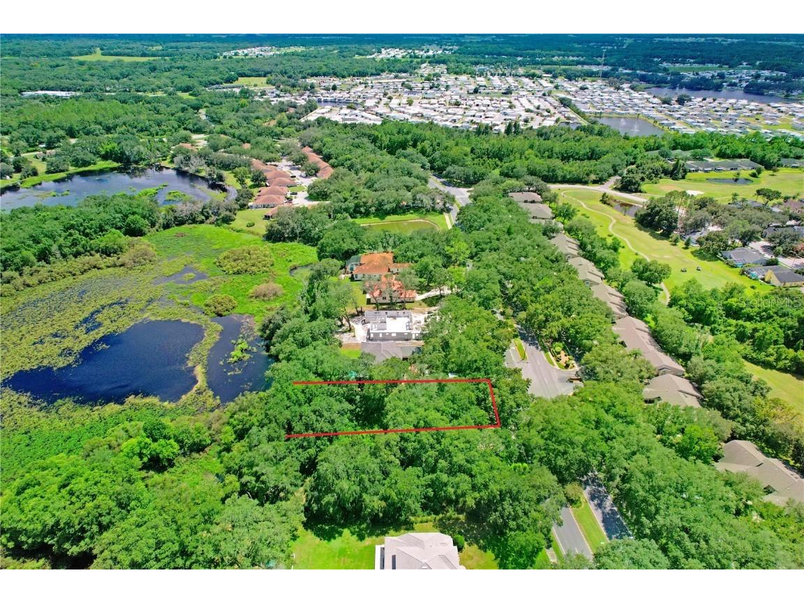 Golf Links Blvd Lot 5 Zephyrhills FL 33541 - LAKE BERNADETTE TB8449734 image19