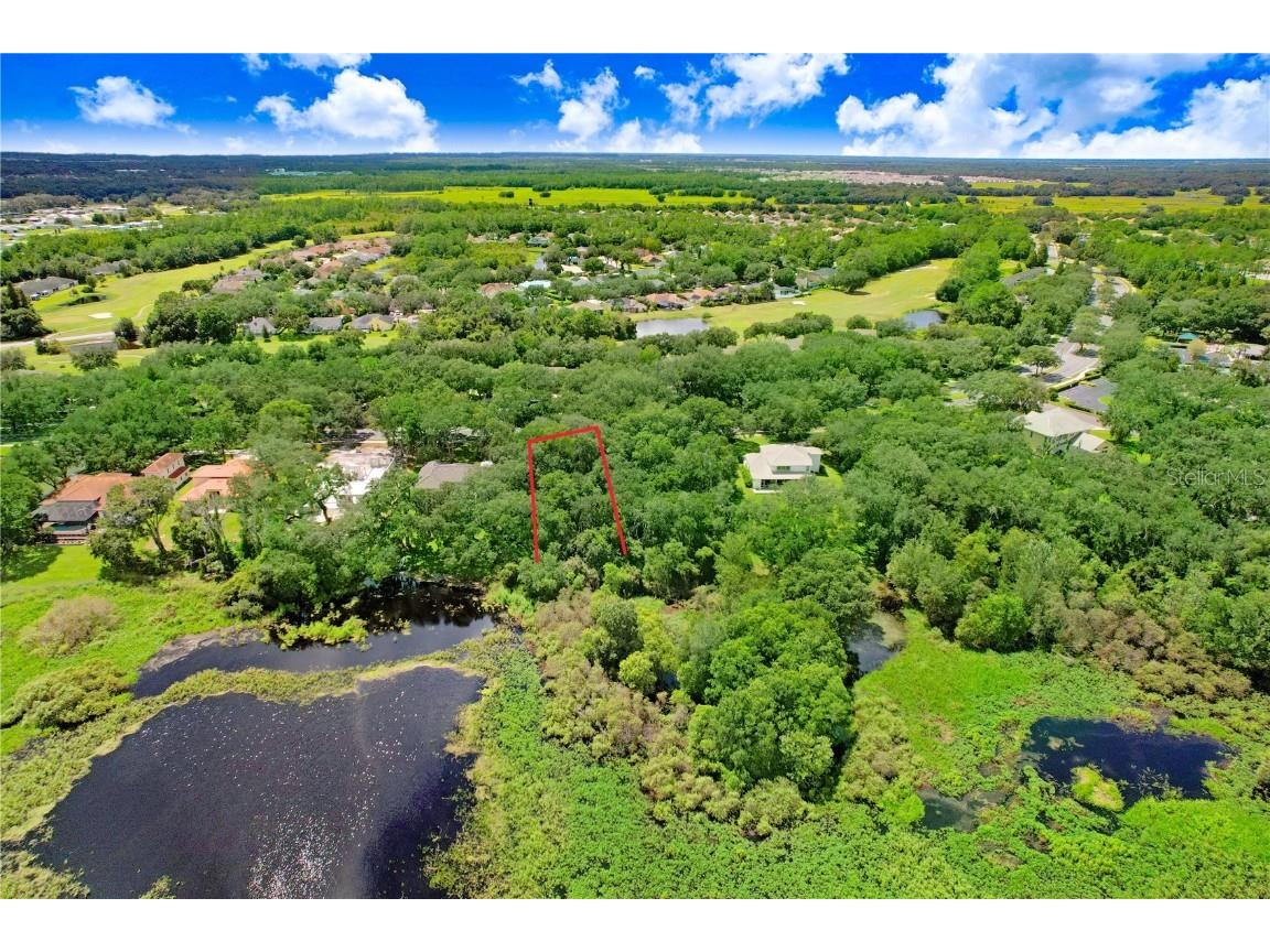 Golf Links Blvd Lot 5 Zephyrhills FL 33541 - LAKE BERNADETTE TB8449734 image21
