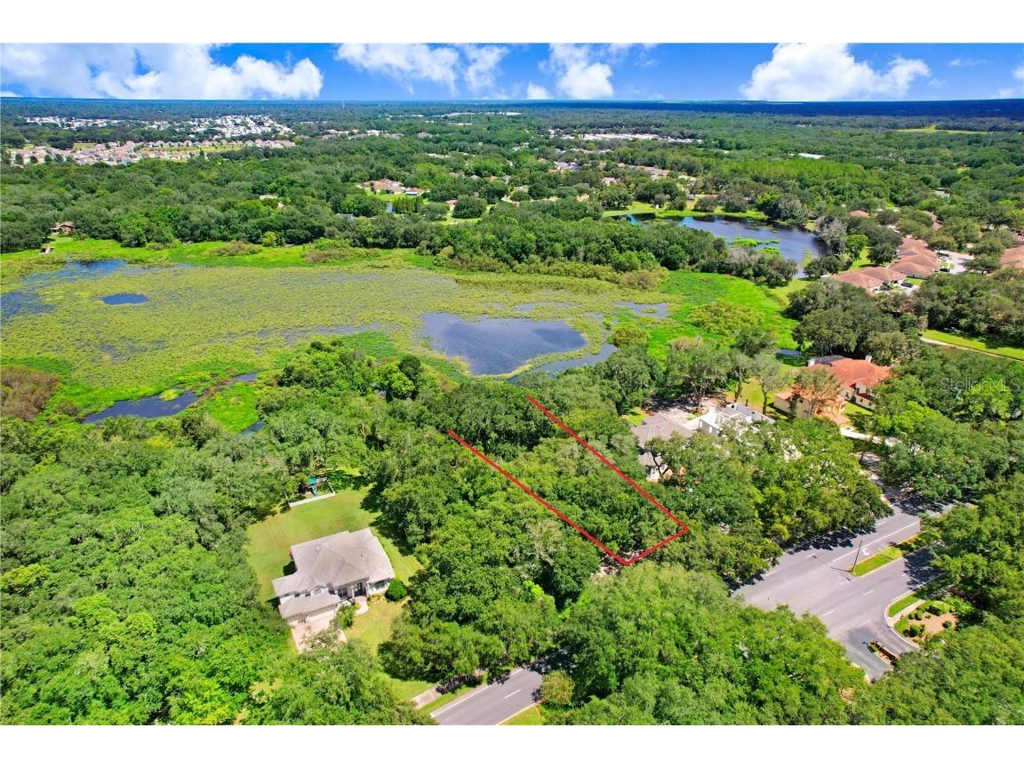 Golf Links Blvd Lot 5 Zephyrhills FL 33541 - LAKE BERNADETTE TB8449734 image23