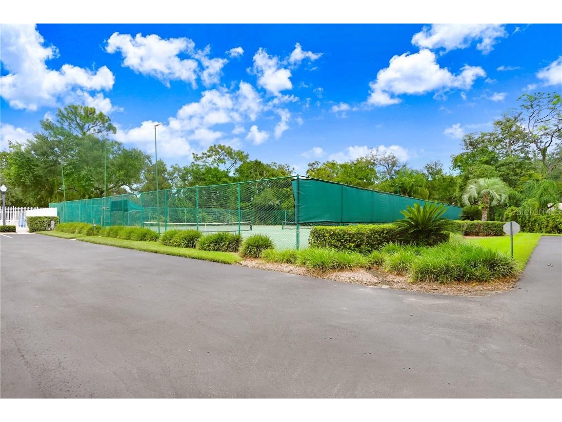 Golf Links Blvd Lot 5 Zephyrhills FL 33541 - LAKE BERNADETTE TB8449734 image9