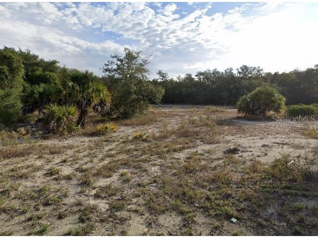 Goodstone Drive Webster FL 33597 O6149729 image1