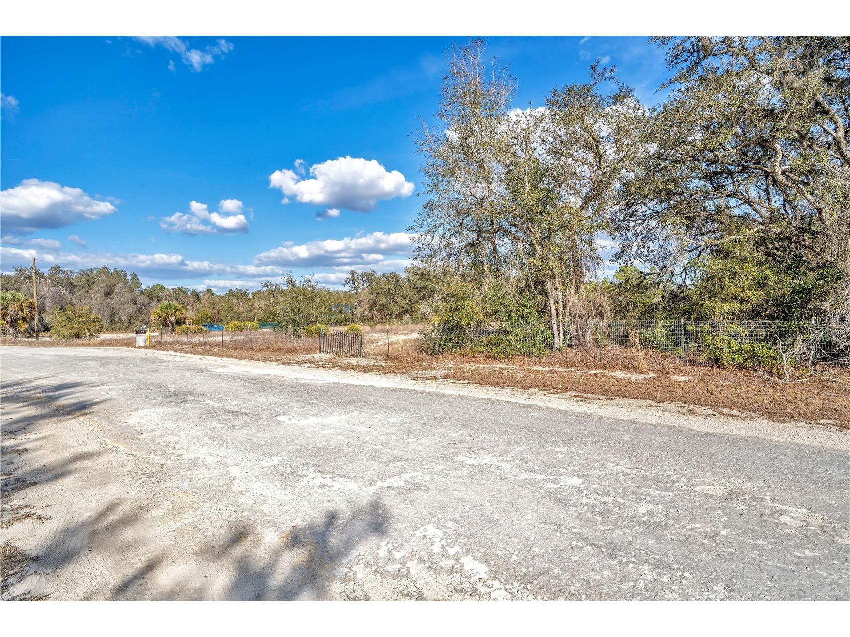 Goodstone Drive Webster FL 33597 O6384365 image3