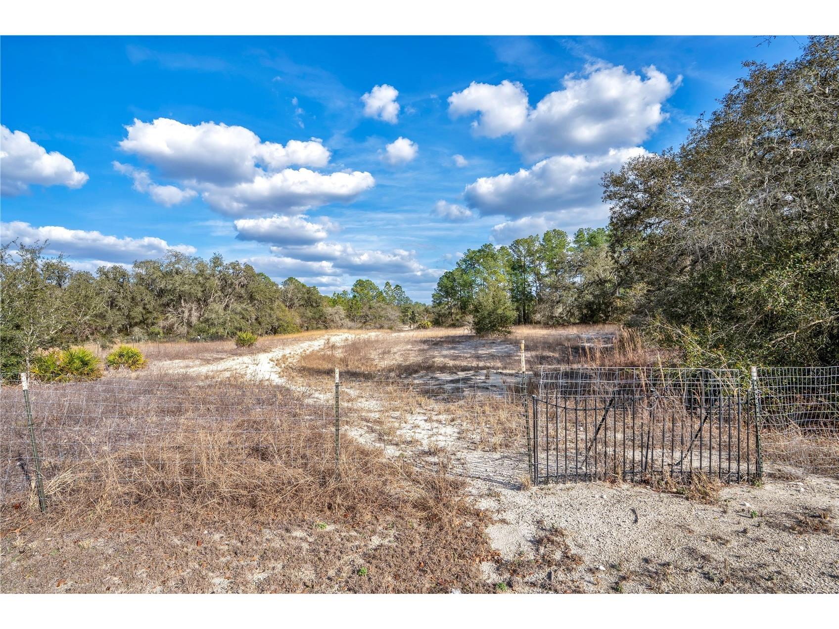 Goodstone Drive Webster FL 33597 O6384365 image4