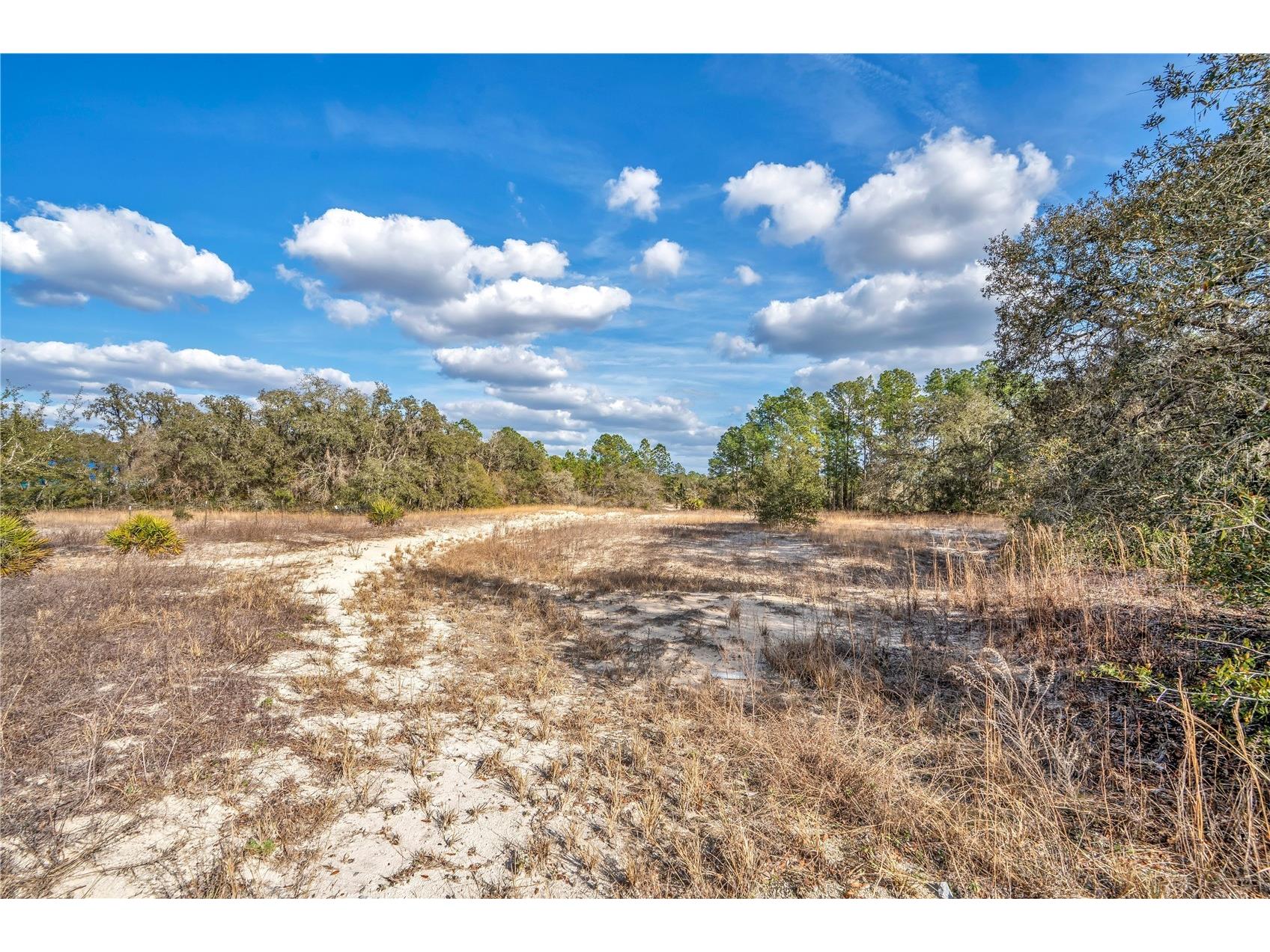 Goodstone Drive Webster FL 33597 O6384365 image6