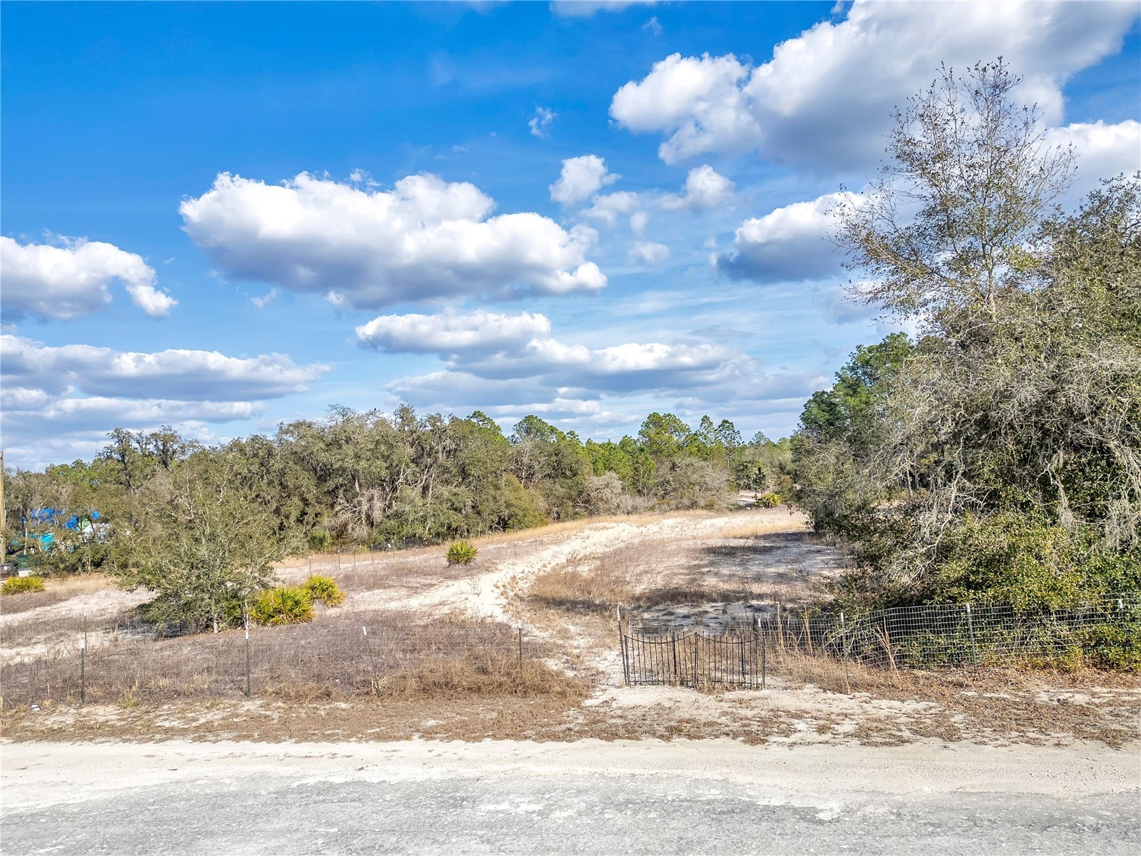 Goodstone Drive Webster FL 33597 O6384365 image7