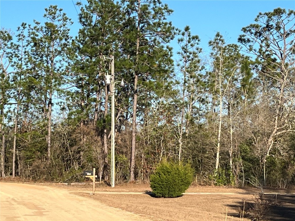 Goreville Avenue Alford FL 32420 OK225369 image2