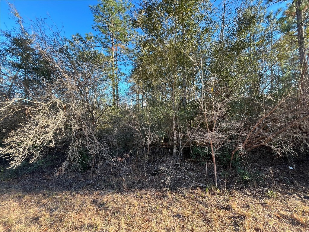 Goreville Avenue Alford FL 32420 OK225369 image4