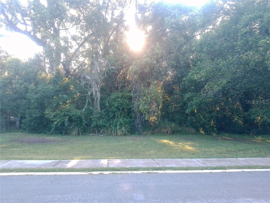 Gorham Street Mount Dora FL 32757 G5085953 image1