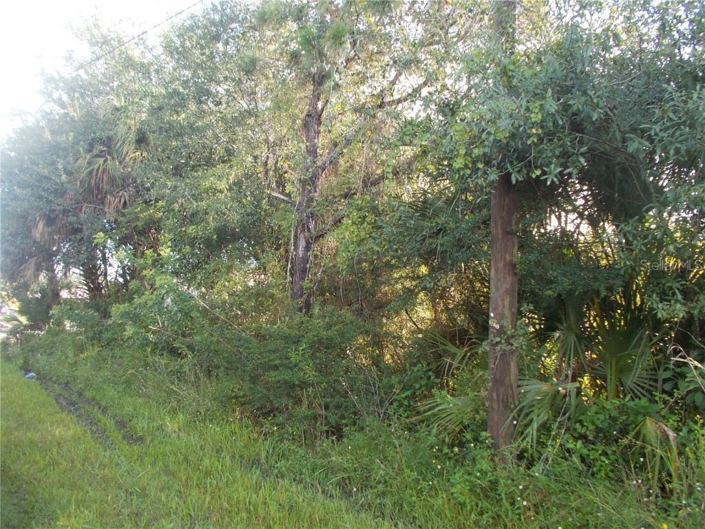 Gottfried Lane North Port FL 34291 N6117601 image1