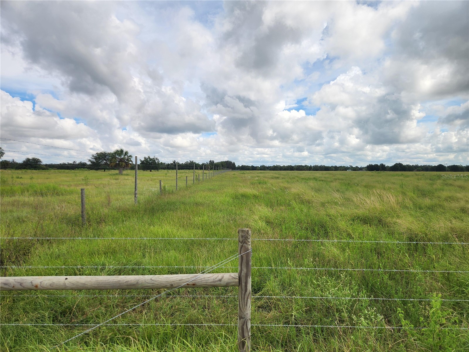 Gough Road Ona FL 33865 O6404494 image5