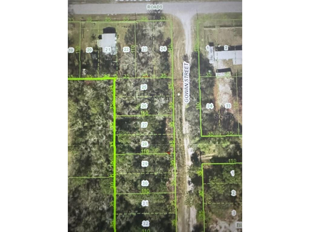 Gowan St. New Port Richey FL 34654 W7877980 image1