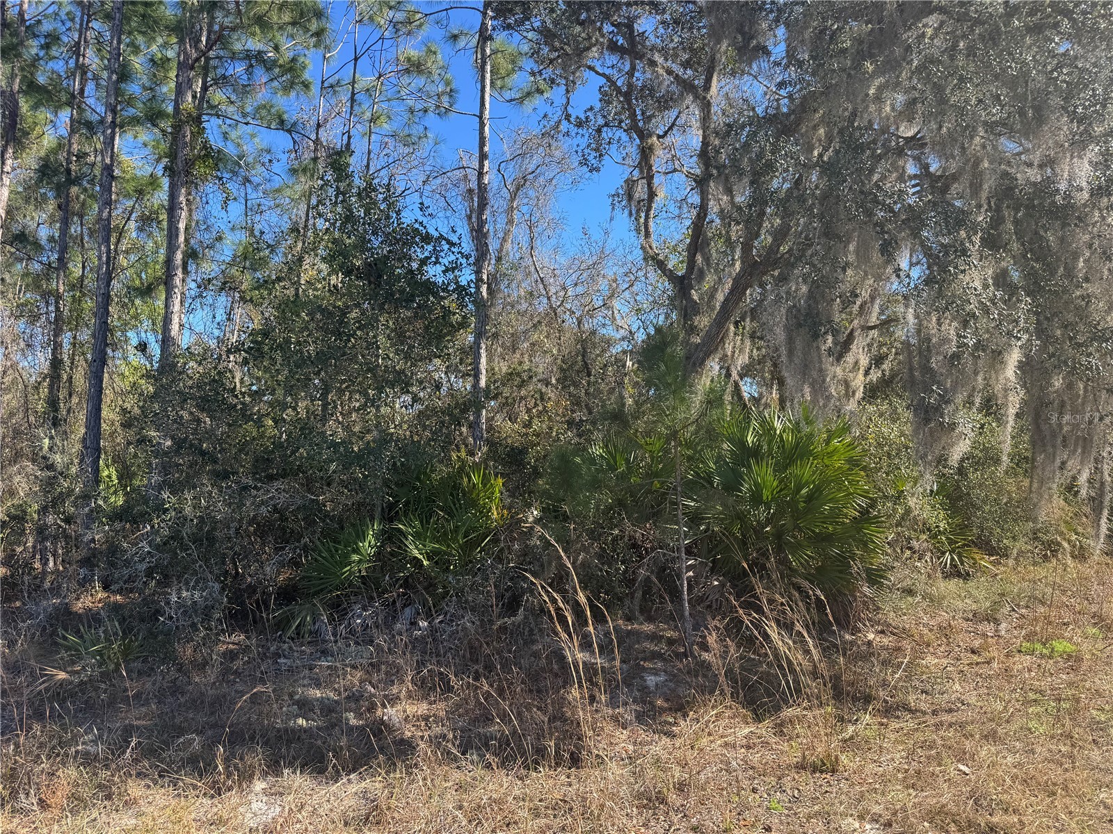 Grace Avenue Deland FL 32720 V4947453 image1