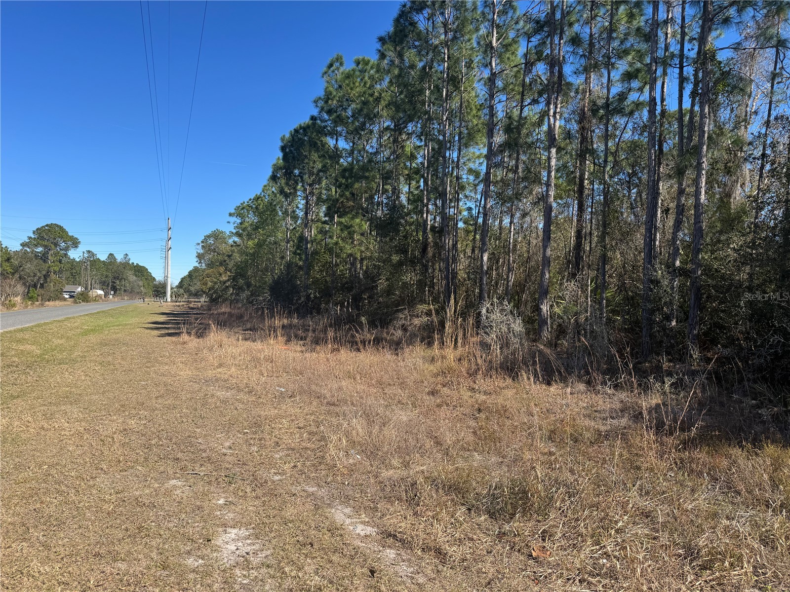 Grace Avenue Deland FL 32720 V4947453 image2