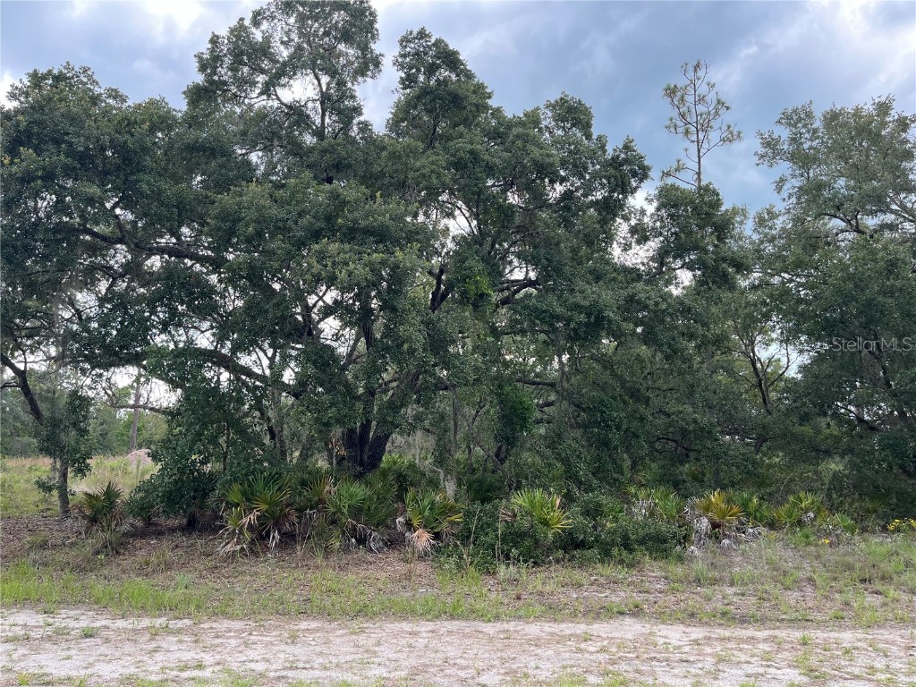 Granada Drive Indian Lake Estates FL 33855 OK224219 image1