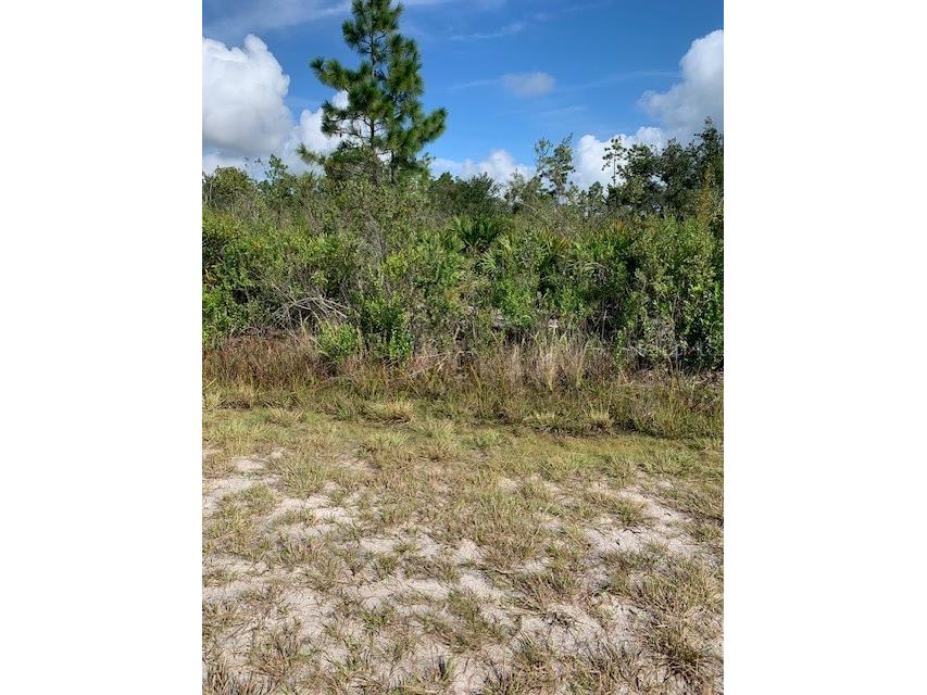 Granada Drive Indian Lake Estates FL 33855 P4927548 image1