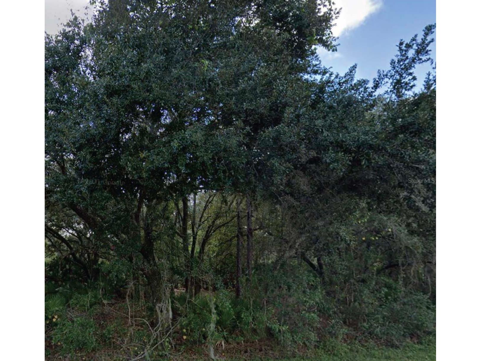 Granada Drive Indian Lake Estates FL 33855 O6415284 image1