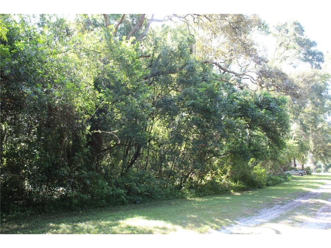 Grand Avenue Brooksville FL 34604 TB8315705 image1