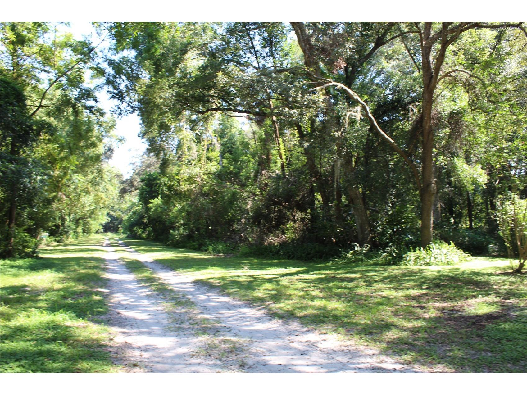 Grand Avenue Brooksville FL 34604 TB8510506 image2