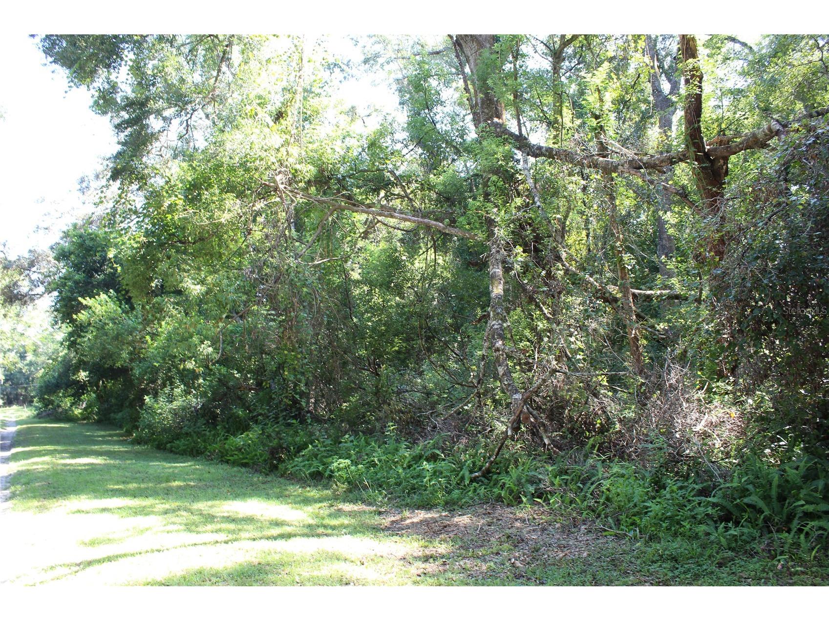 Grand Avenue Brooksville FL 34604 TB8510506 image3