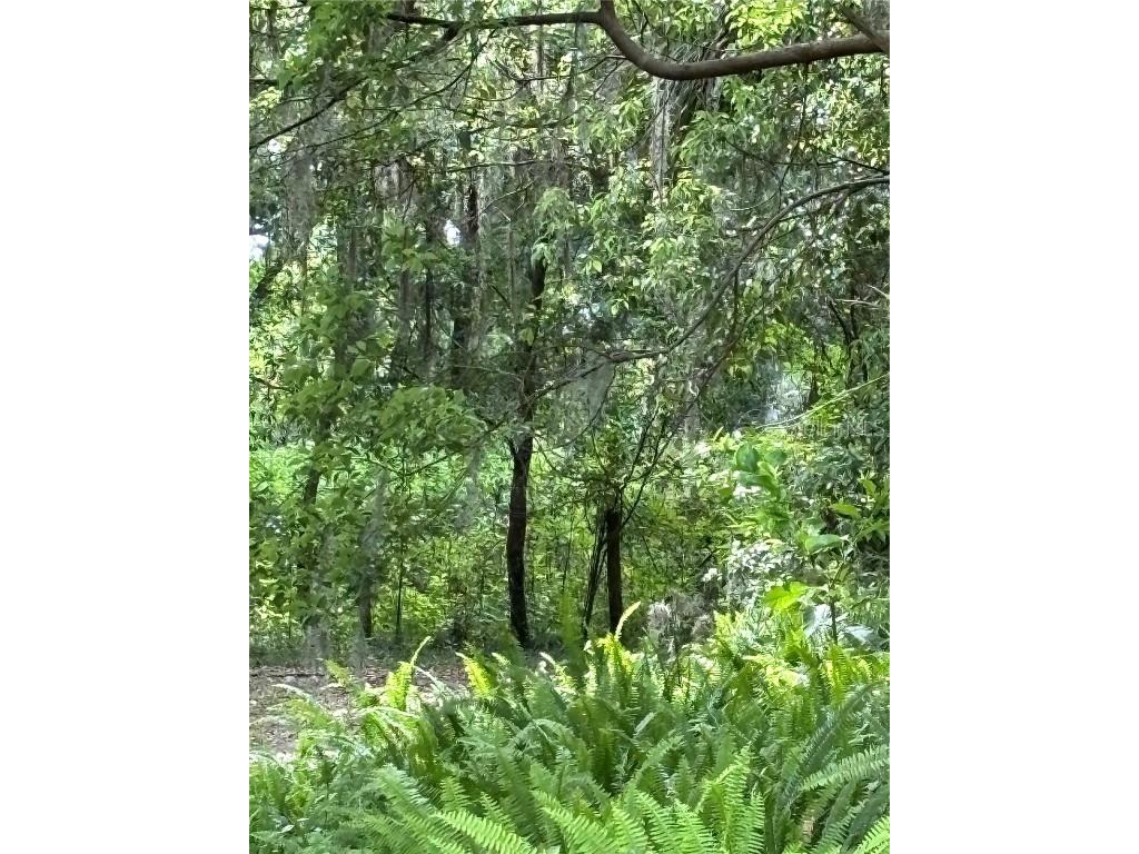 Grand Avenue Deland FL 32720 V4936076 image1