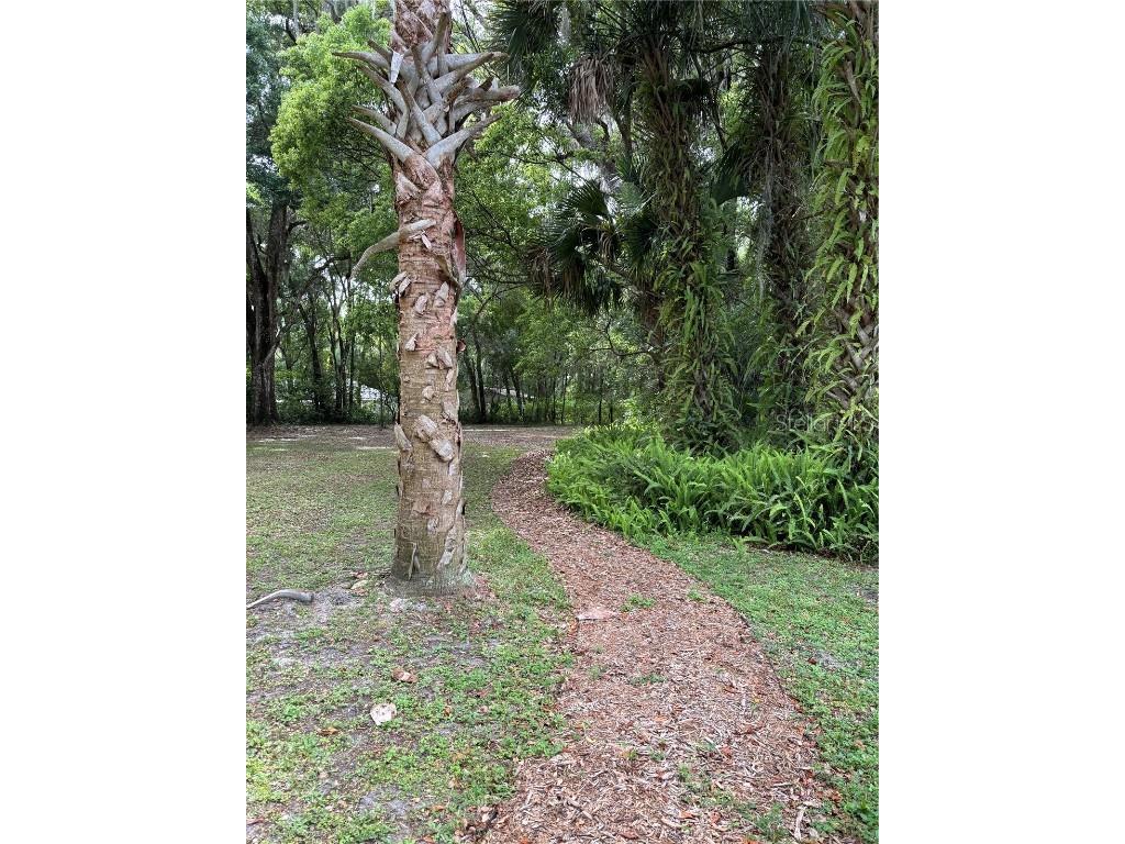 Grand Avenue Deland FL 32720 V4936076 image3