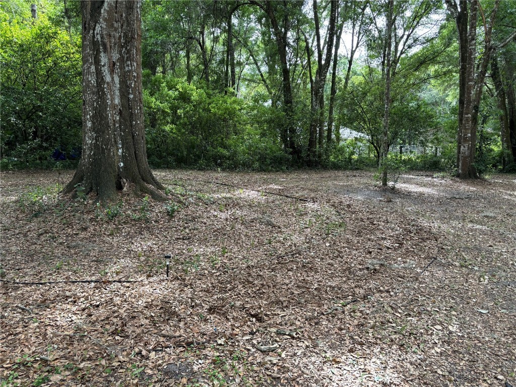 Grand Avenue Deland FL 32720 V4936076 image4