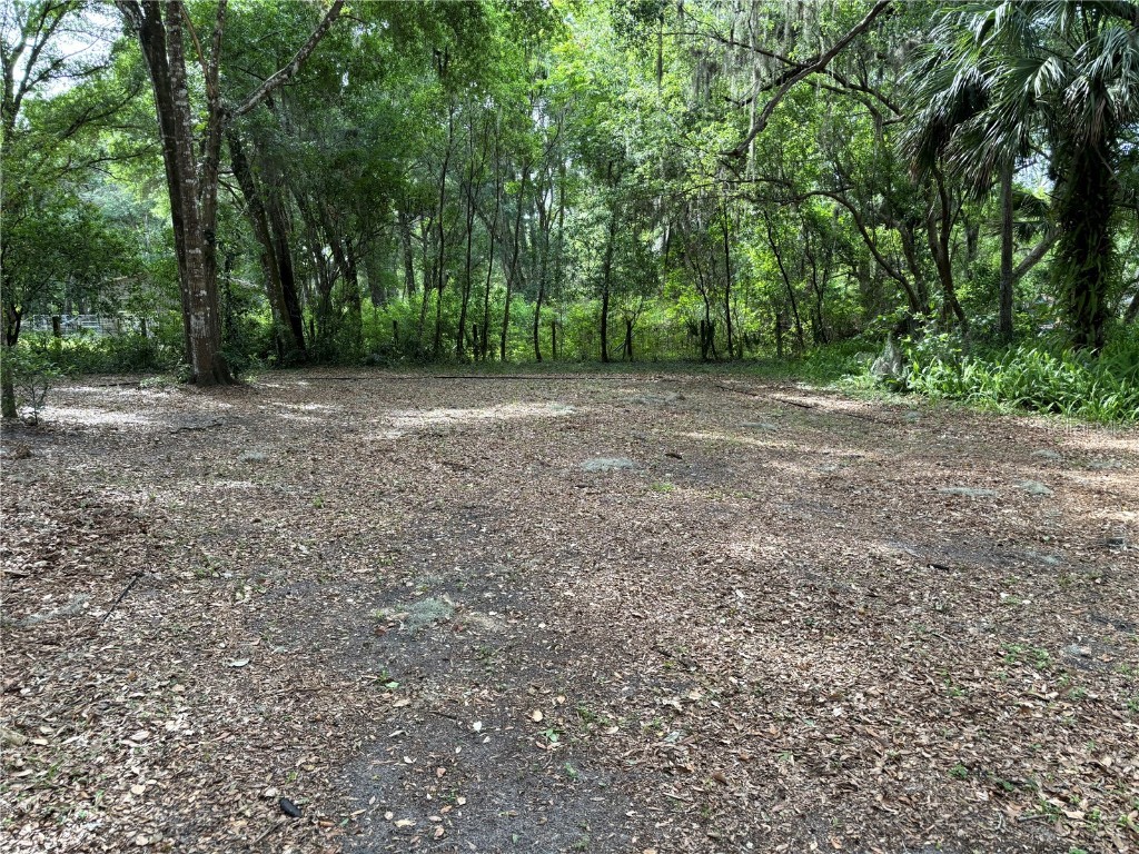 Grand Avenue Deland FL 32720 V4936076 image5