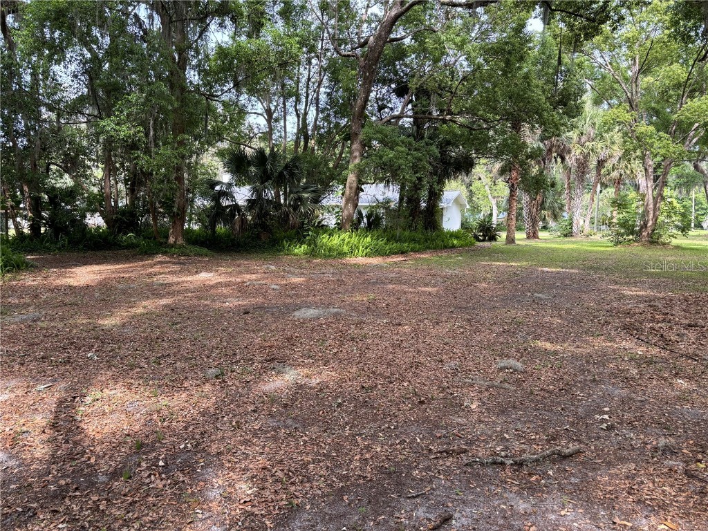 Grand Avenue Deland FL 32720 V4936076 image6