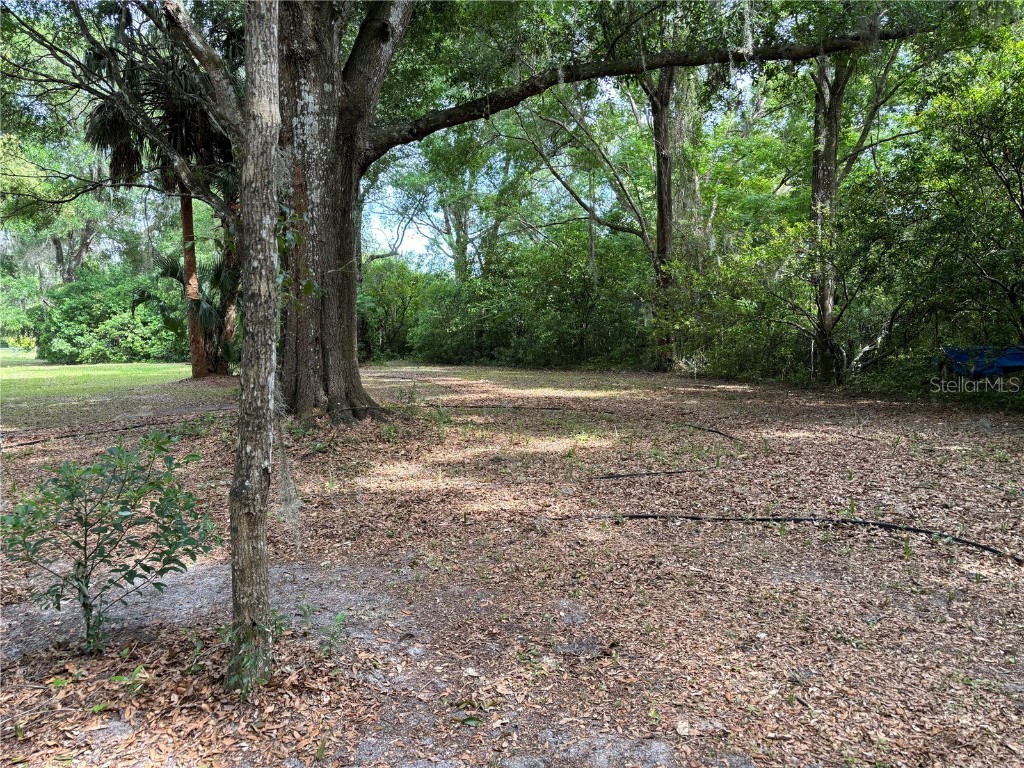 Grand Avenue Deland FL 32720 V4936076 image7