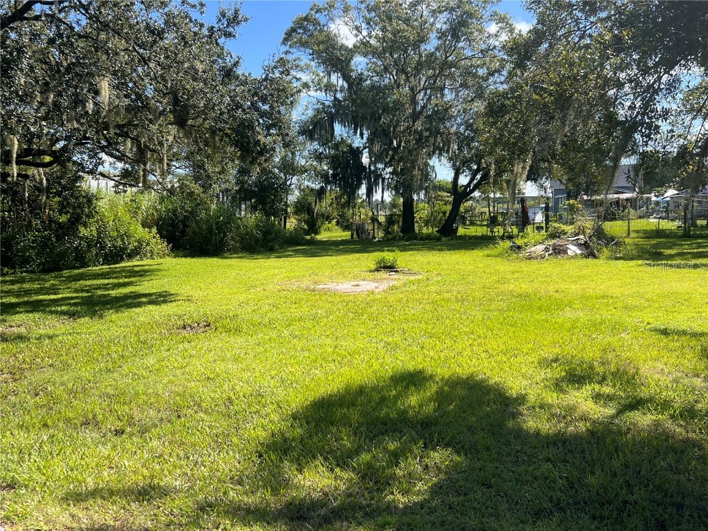 Grand Central Avenue Mulberry FL 33860 L4947493 image1