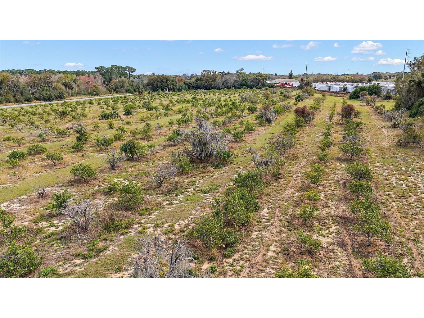  Grand Island FL 32735 G5078585 image5