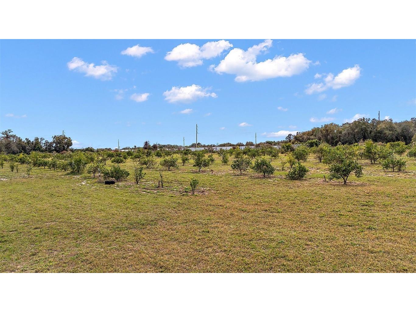  Grand Island FL 32735 G5078585 image6