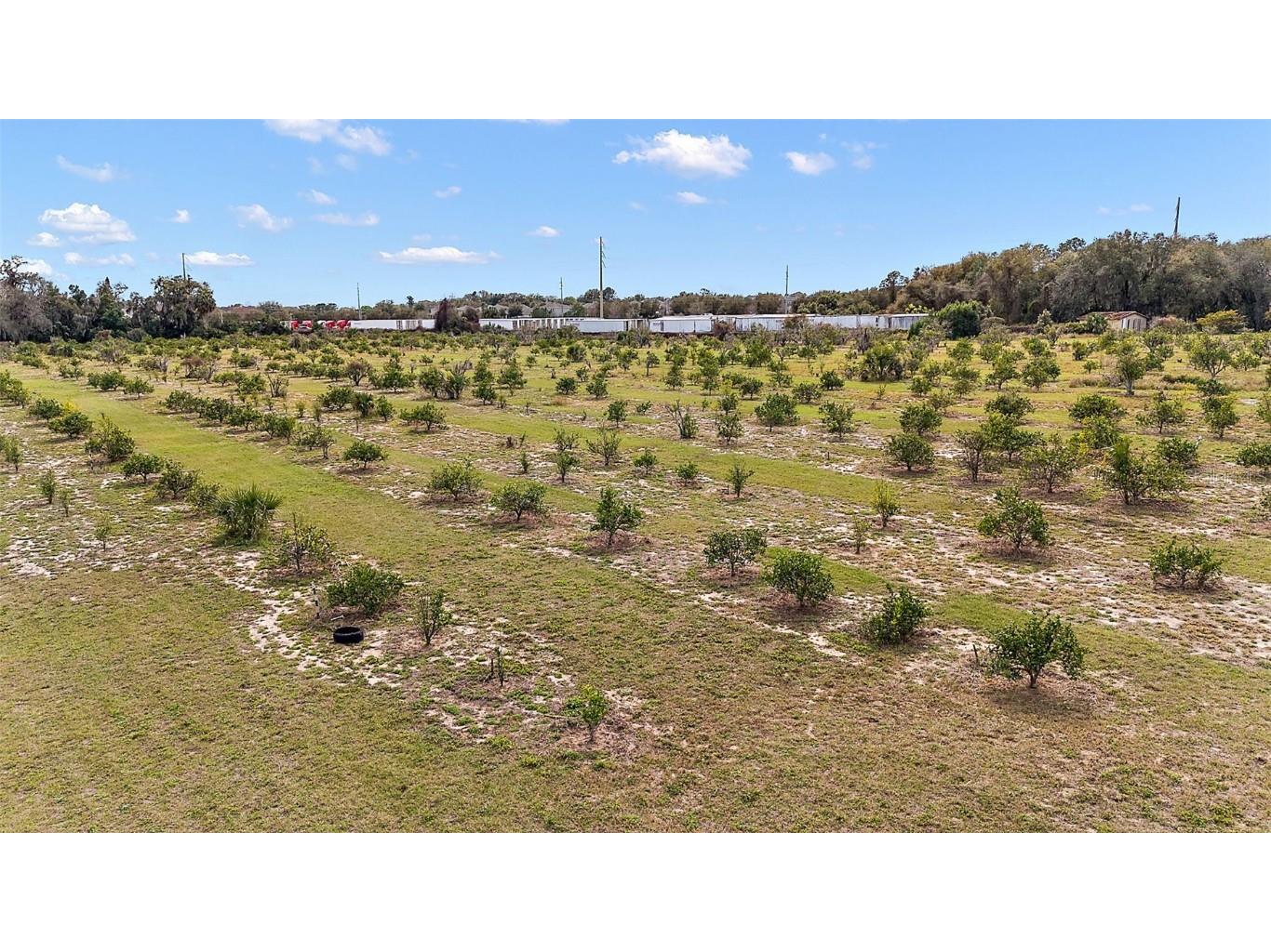  Grand Island FL 32735 G5078585 image7