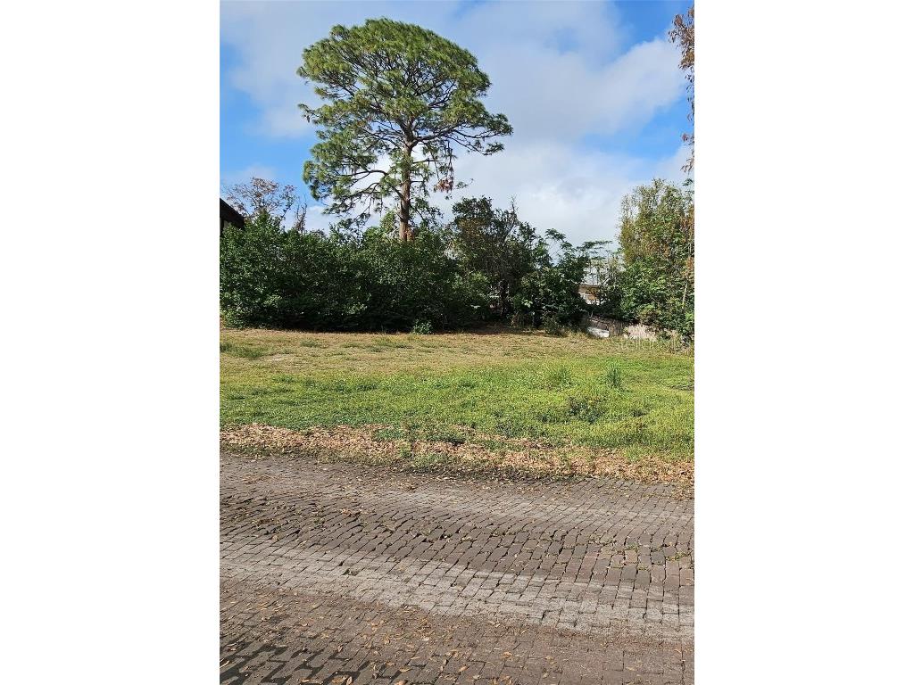 Grandview Drive Tarpon Springs FL 34689 - LAKE TARPON TB8434556 image1